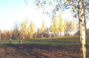 Golfing in Alaska